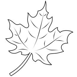 260x260 Learn How To Draw A Leaf, One Of The Maple Variety