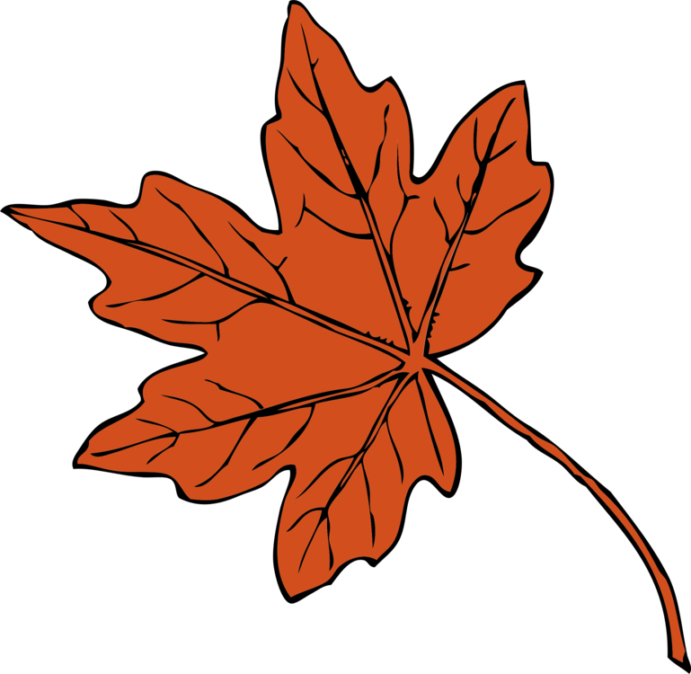 769x750 maple leaf drawing autumn leaf color red maple cc0