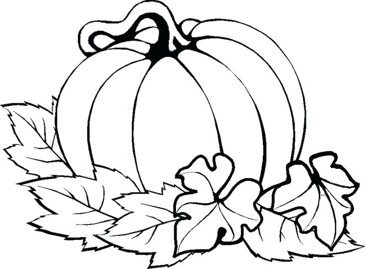 736x544 Pumpkin Drawings Image Pumpkin Drawings Step