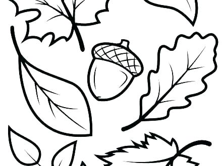 440x330 Drawing Fall Leaves