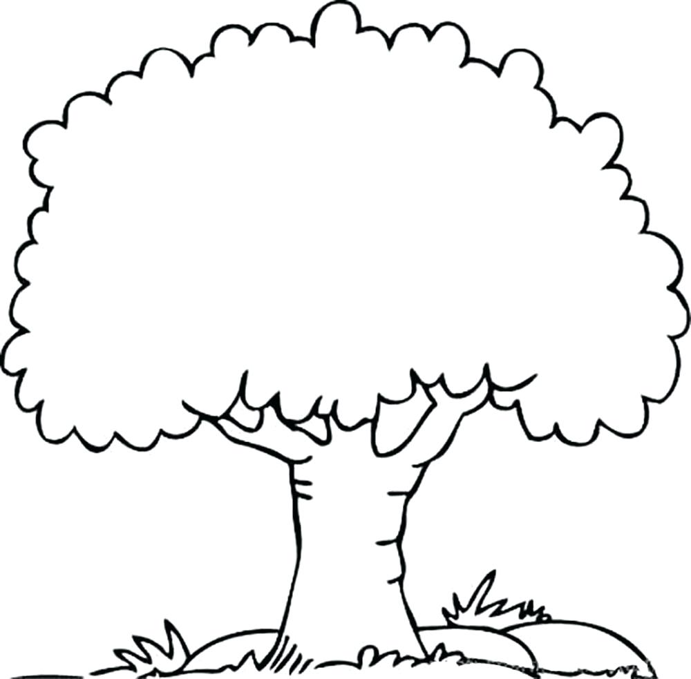 1000x983 Family Tree Drawing Easy
