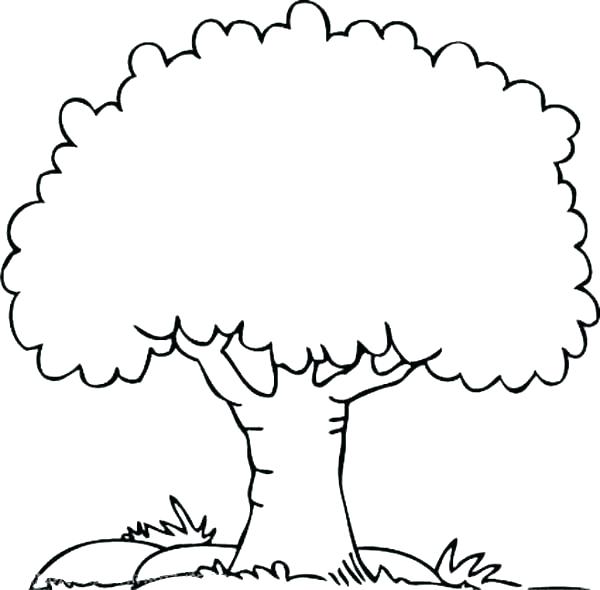 600x590 Free Family Tree Coloring Pages Drawing At For Personal Use