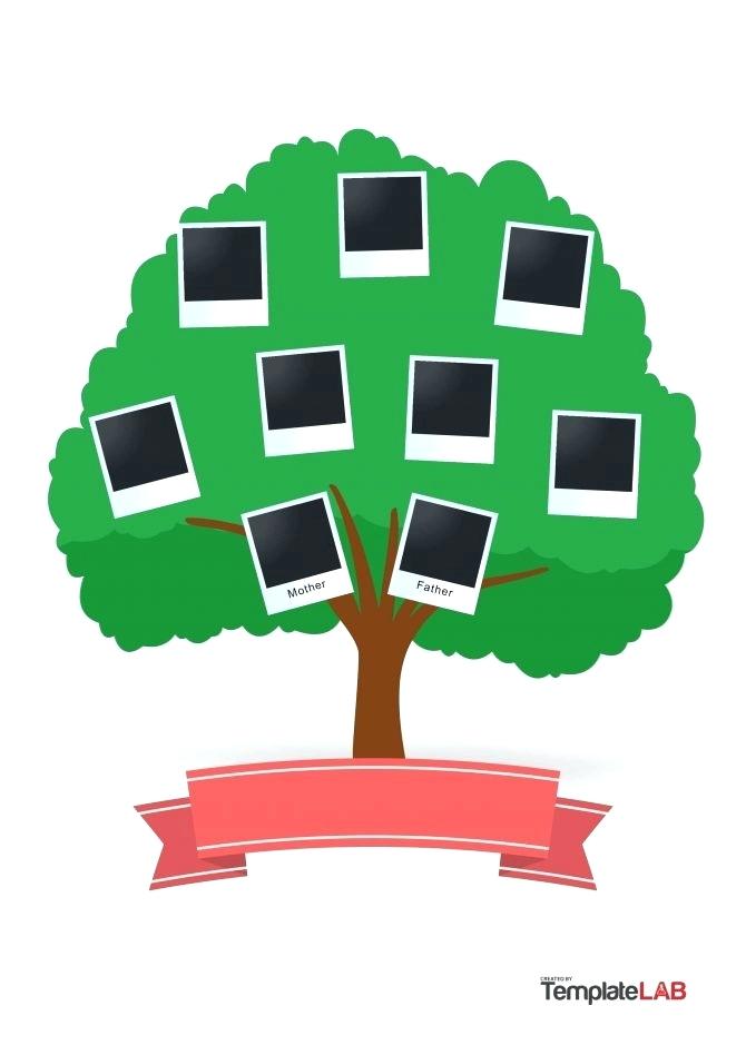 Drawing Family Tree Free | Free download on ClipArtMag