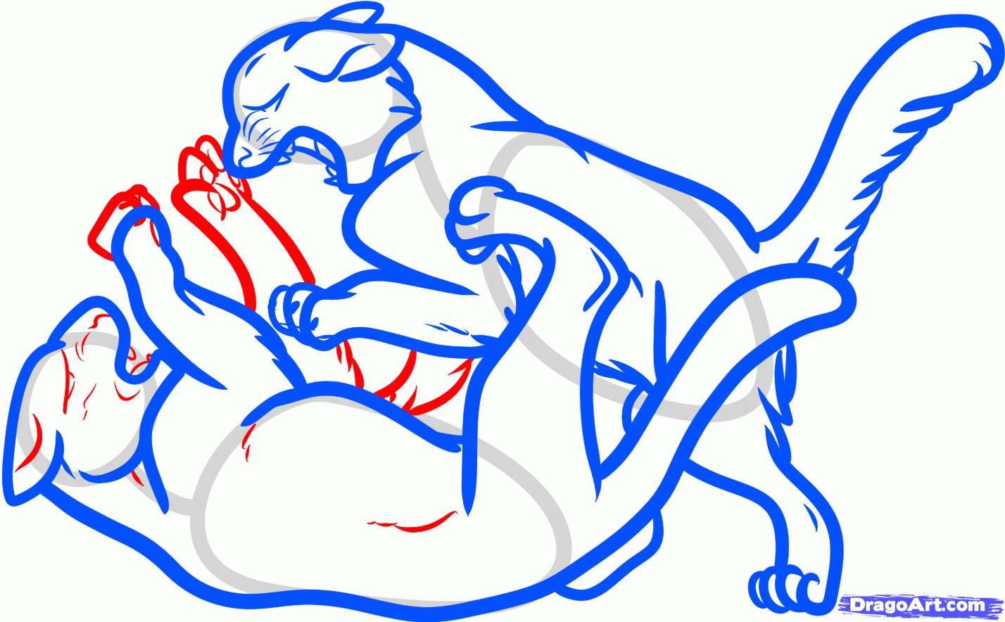 1428x884 Step How To Draw Fighting Cats, Cat Fight