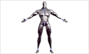 288x175 Designdoll Terawell