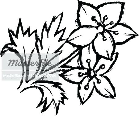 450x376 Flowers To Draw For Beginners Easy Flower Tattoos Cool Simple