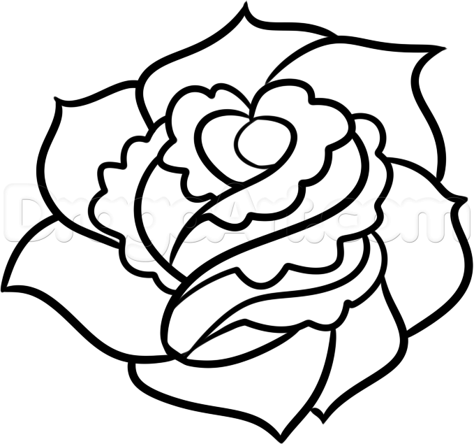 679x635 How To Draw A Rose For Beginners, Step