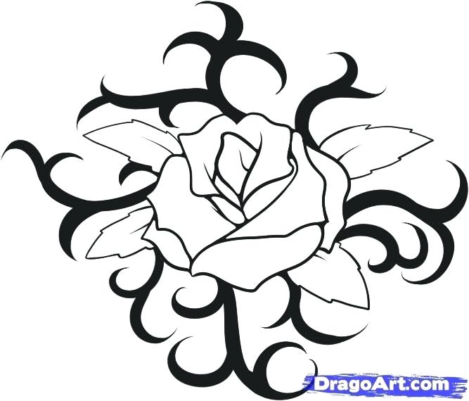 667x570 Howto Draw A Rose How To Draw A Rose Easy How To Draw Roses