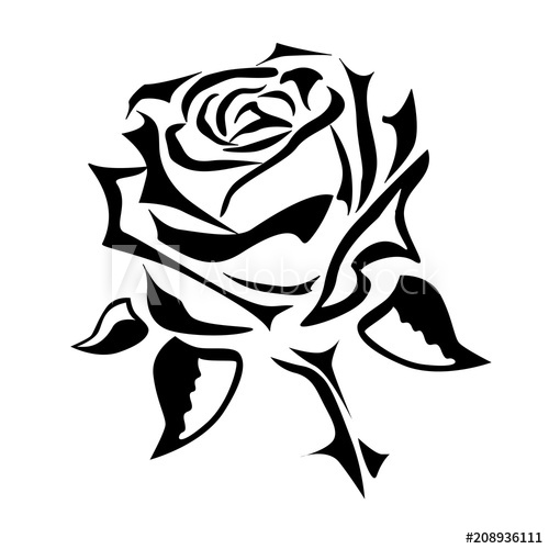 500x500 Vector Drawing Of A Rose Tattoo, Logo