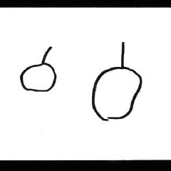 240x240 Gifted Drawing, Age Download Scientific Diagram