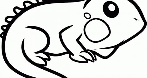 471x250 Cool Drawings Of Animals Step