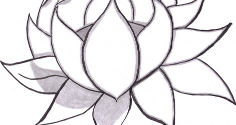 471x250 How To Draw Cool Flowers Step