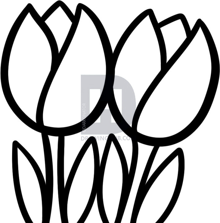 710x720 Things To Draw For Kids How To Draw Tullips For Kids Step