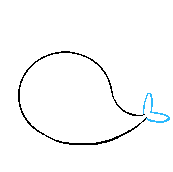 680x678 How To Draw A Cute Narwhal