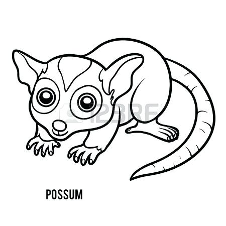 450x450 possum drawing coloring book for children possum possum drawing