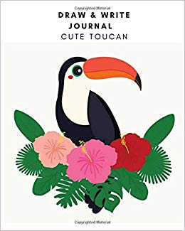 260x325 draw write journal cute toucan drawing book for kids journal