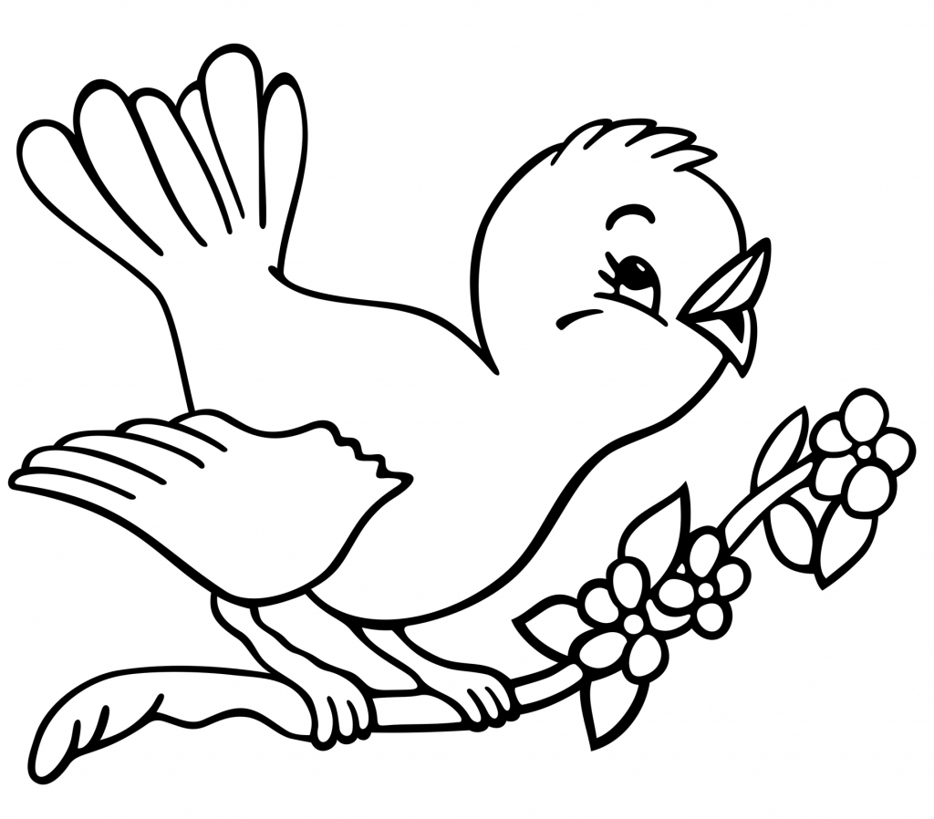 Drawing For Kids Birds