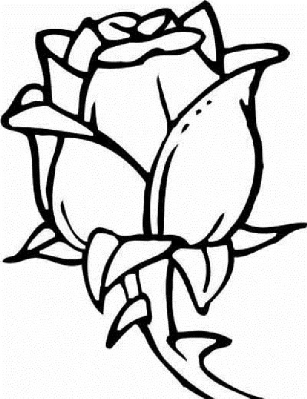 600x780 Hard Peacock Coloring Pages Templates Dibujos De Rosas