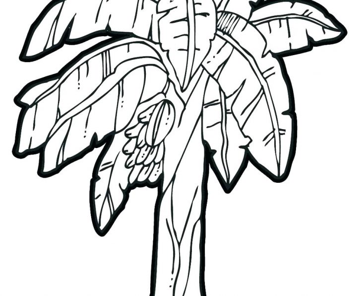 728x596 Printable Coloring Book For Toddlers Pdf Pages Kidspdf Kids Fall