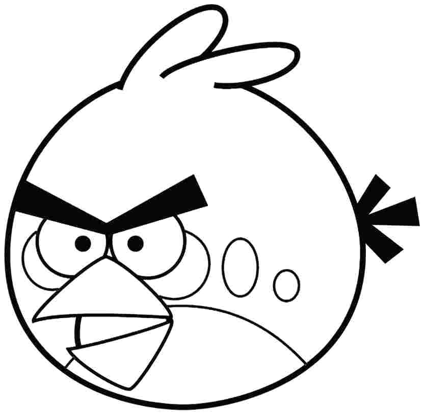834x812 Yellow Angry Bird Coloring