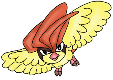 381x271 How To Draw Pidgeotto From Pokemon For Kids Step