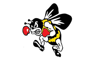 324x216 lions to launch leos club for middle school, high school students