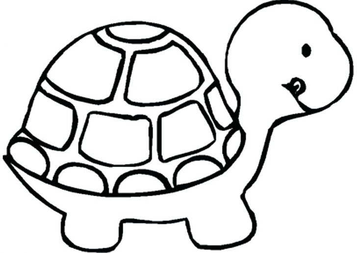 728x515 Coloring Pages Disney Easy To Print For Adults Of Animals Simple