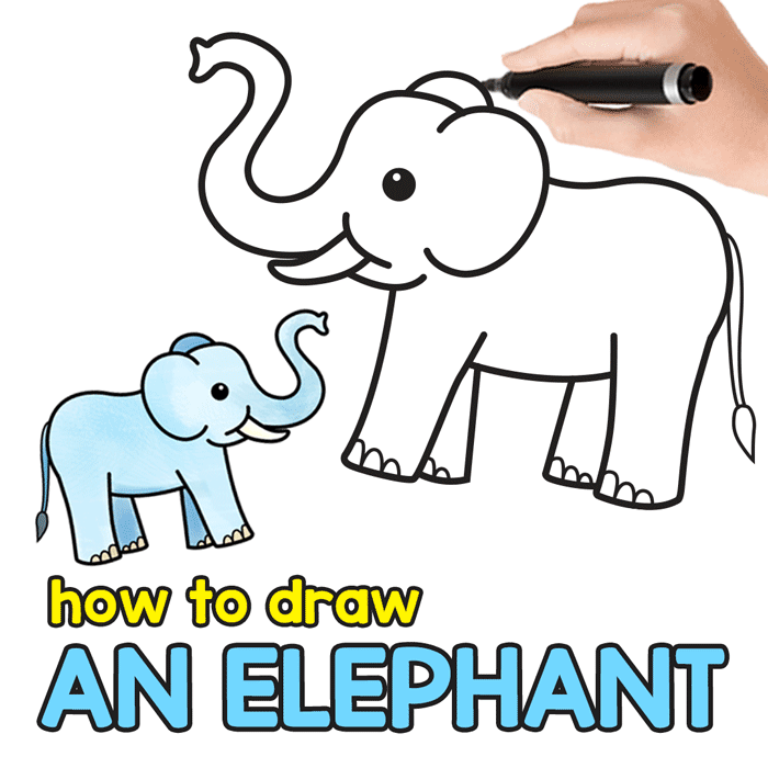 700x700 How To Draw An Elephant