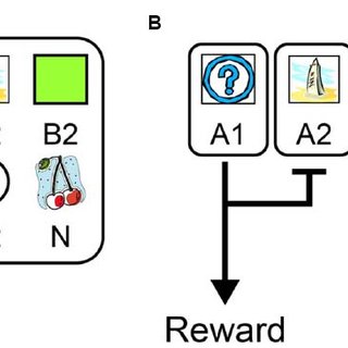 320x320 Schematic Drawing Of The Function Of Lpfc And Striatal Neurons