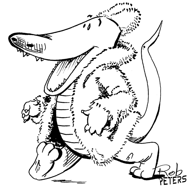 600x600 Daily Drawing Alligator