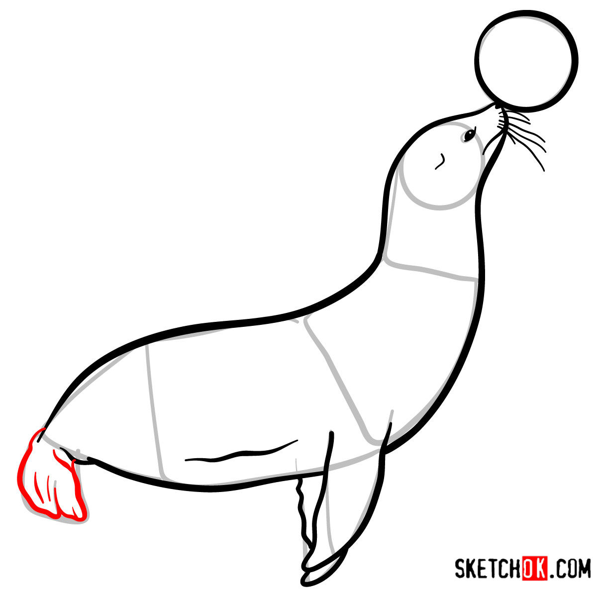 1200x1200 How To Draw A Fur Seal Sea Animals