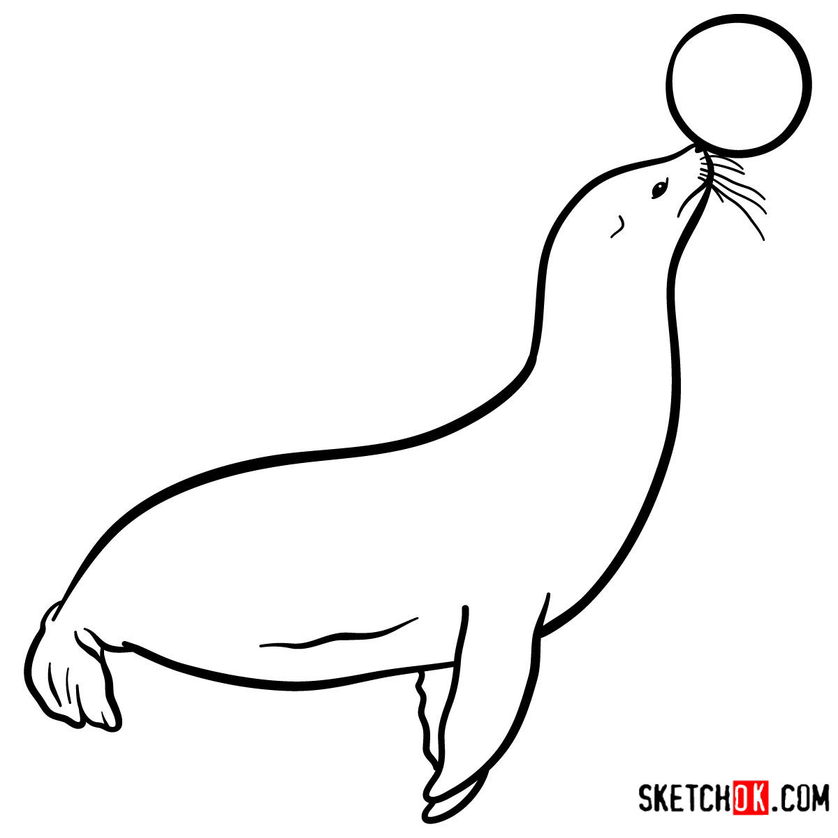 1200x1200 How To Draw A Fur Seal Sea Animals