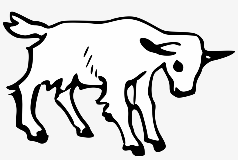 820x553 boer goat pygmy goat anglo nubian goat drawing graphic