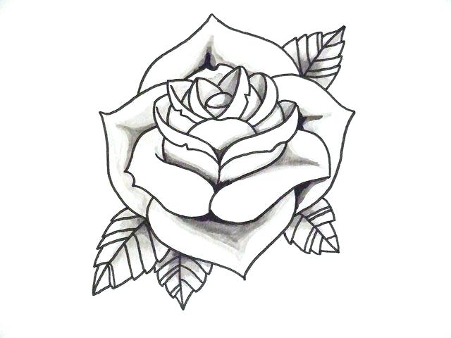 640x480 Easy Rose Drawing Outline Gallery Clip Art Library Simple Stem