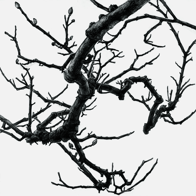 638x640 Rieko Hidaka Seeing Tomio Koyama Gallery Artsy