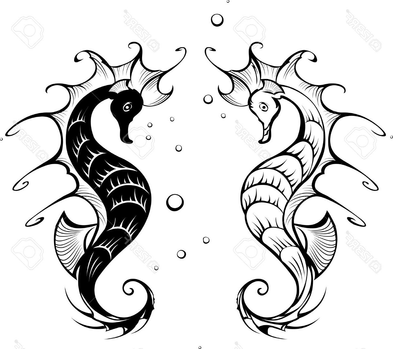 1300x1157 Awesome Seahorse Cartoon Drawing Gallery