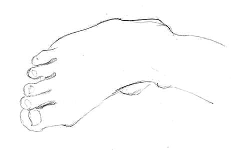 481x300 Drawing Hands And Feet