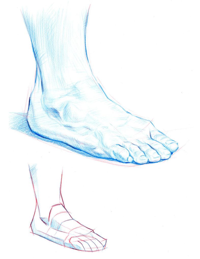 786x1017 Feet Are Hard To Draw Too