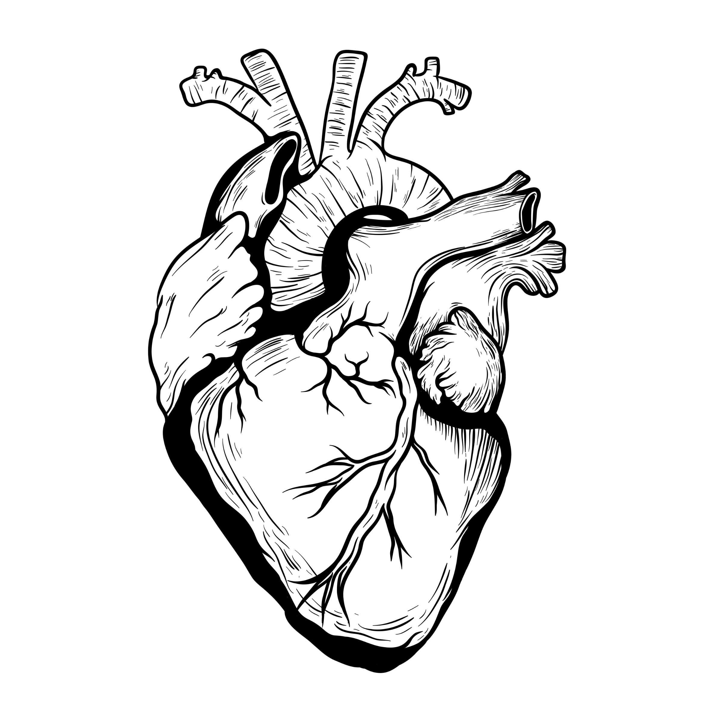 2362x2362 Designer Drawing Heart Transparent Png Clipart Free Download