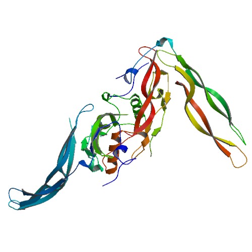 500x500 rcsb pdb