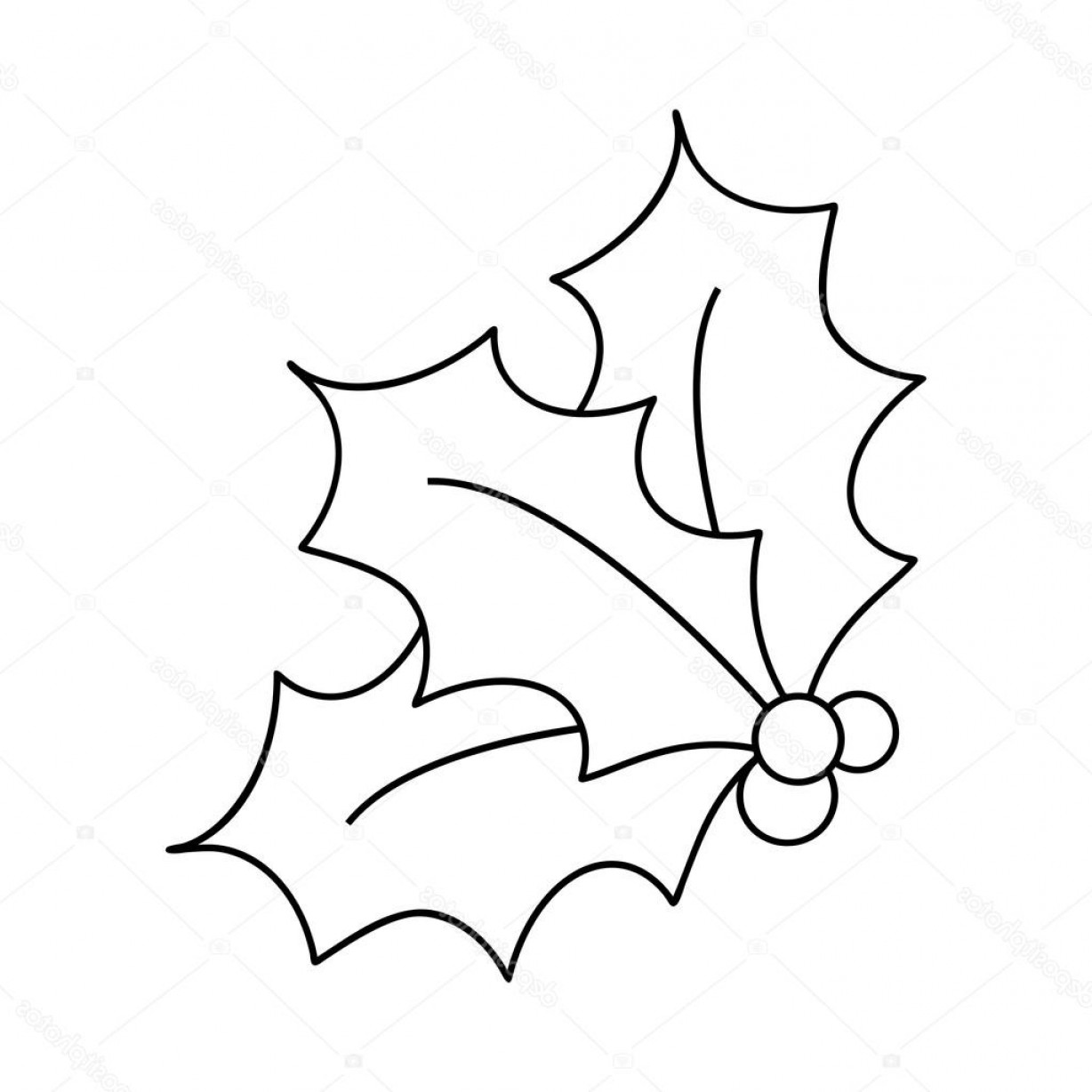 1228x1228 Stock Illustration Holly Berry Silhouette Christmas Leaves Soidergi