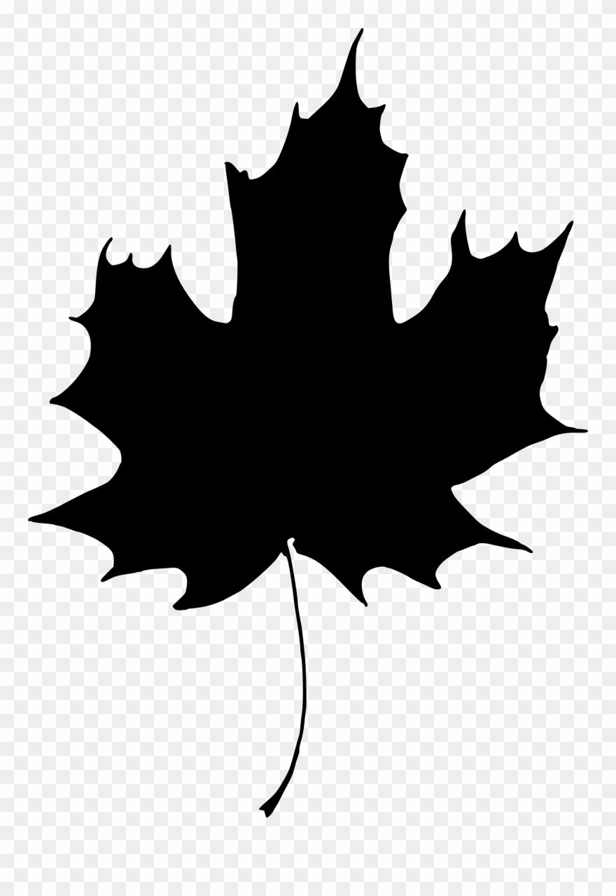 880x1280 Clip Art Library Stock Berries Drawing Berry Tree