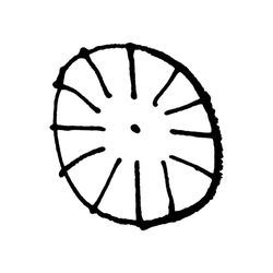 250x250 Bert Rodriguez Museum