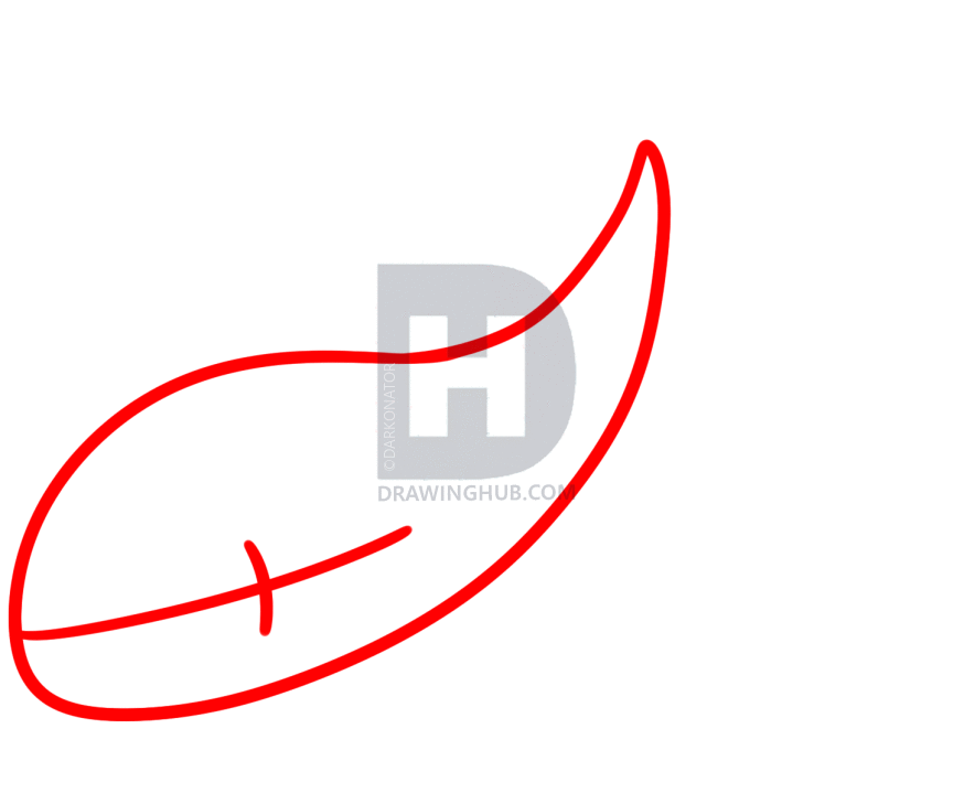 874x719 How To Draw Kyogre, Step