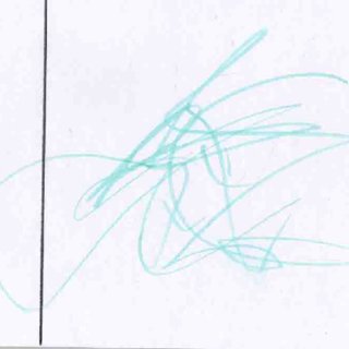 320x320 reaction to the horizontal line female orangutan nuninka fig