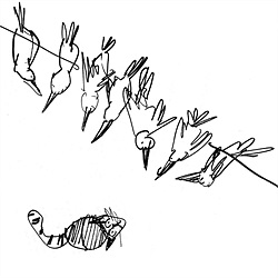 250x250 Cartoon Illustrations