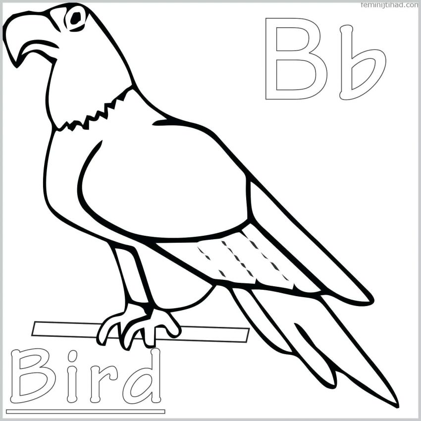 850x850 Coloring Pages Free Printable Bird For Adults Ideas