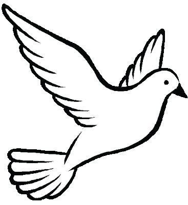 367x401 Dove Outline Drawing Dove Drawing Outline At Free For Personal Use