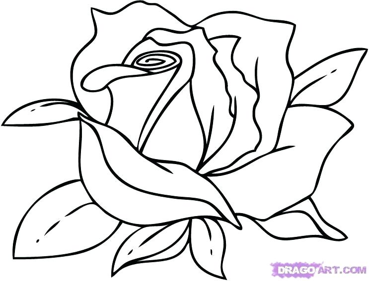 743x567 Flowers Drawings Easy