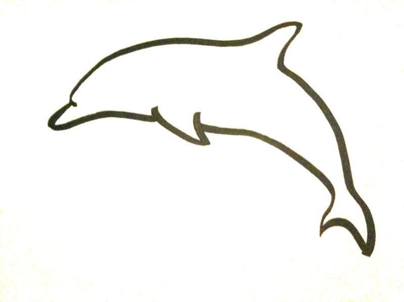 800x599 Dolphin Drawings Drawing Free Download Clip Art Carwad Net